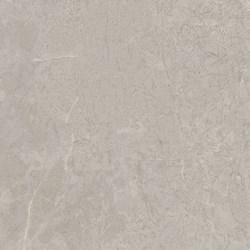 Afbeelding van Elemental Isocore Squared Tile 85739118X Classic Marble Light Grey 600x600x8mm 6stuks 2,16m²